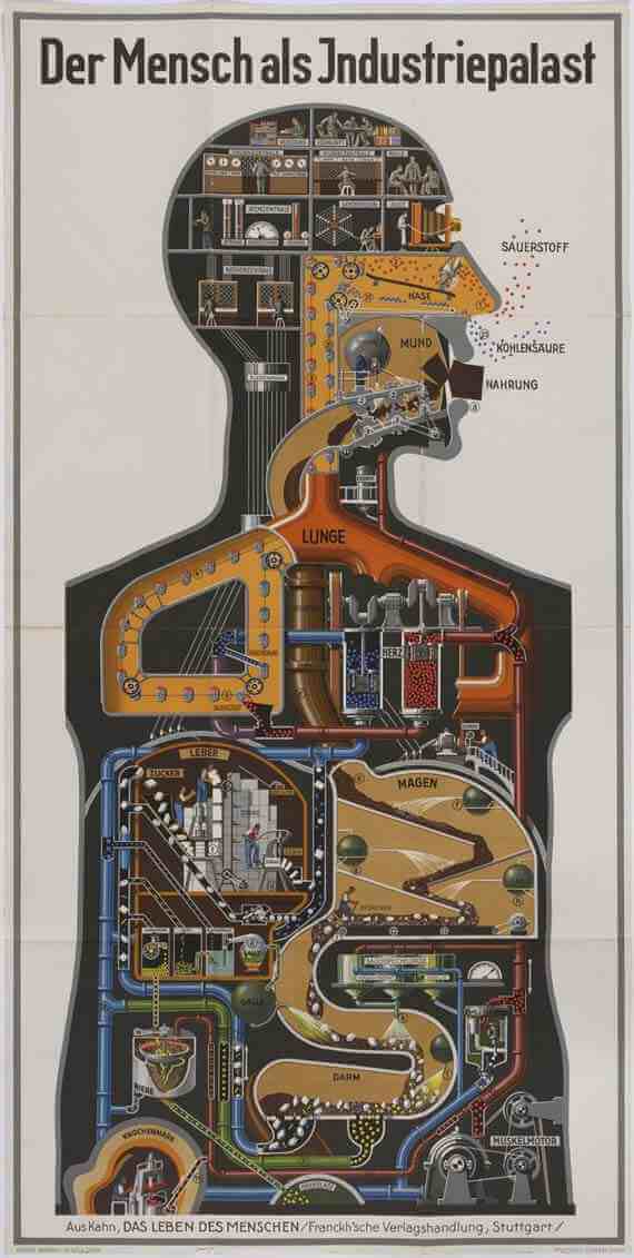 Man as Industrial Palace by Fritz Kahn